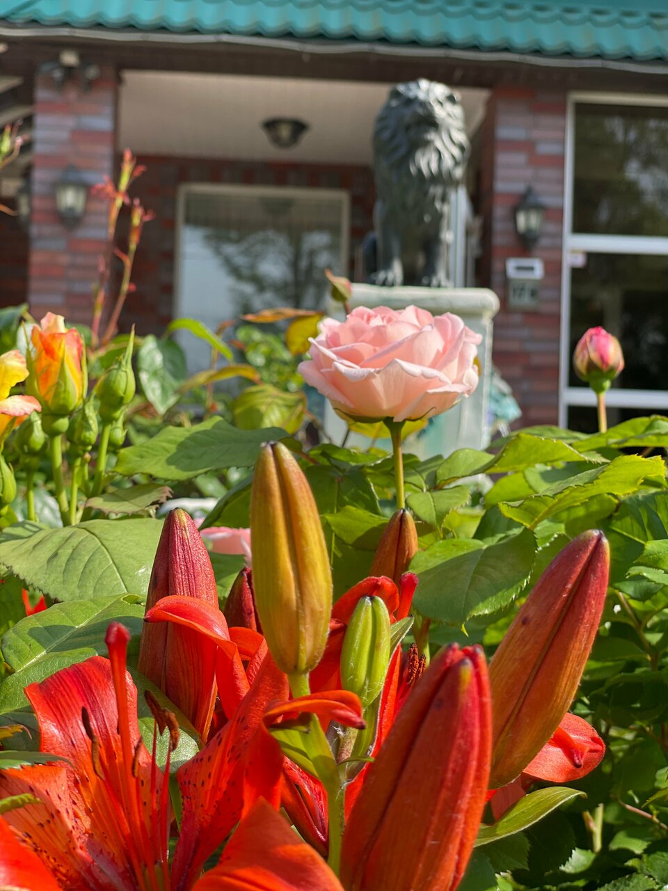 Гостиница Ренессанс Зеленоградск-113