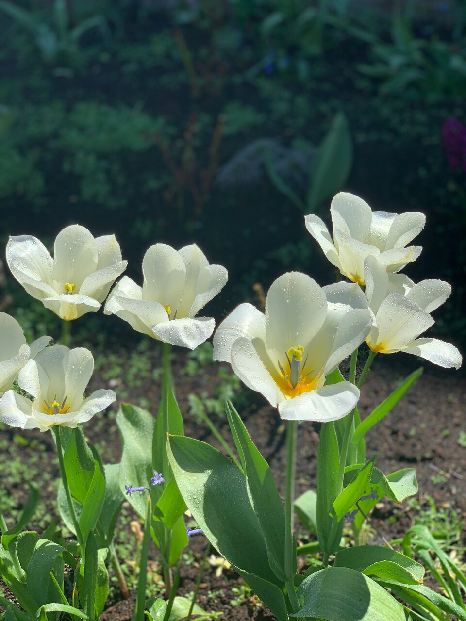 Гостиница Ренессанс Зеленоградск-13