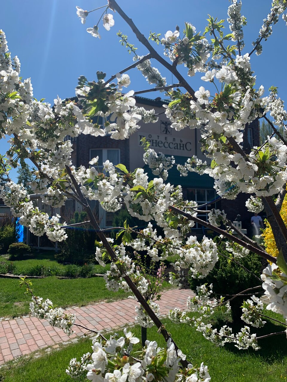 Гостиница Ренессанс Зеленоградск-10