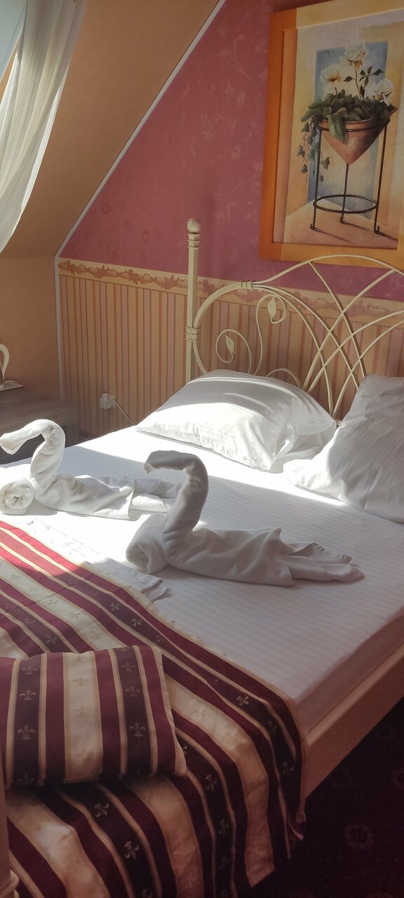 Гостиница Ренессанс Зеленоградск-127