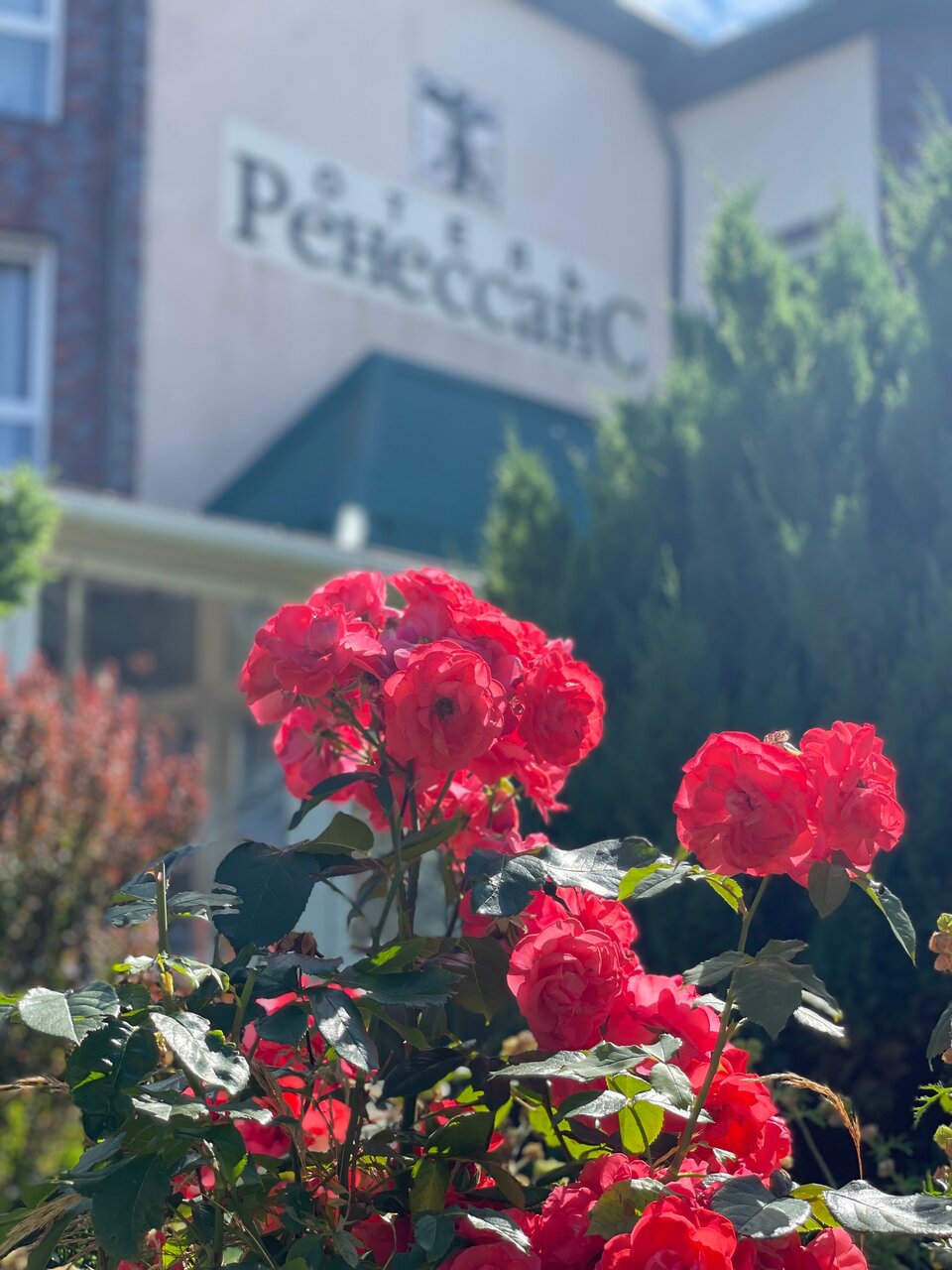 Гостиница Ренессанс Зеленоградск-74