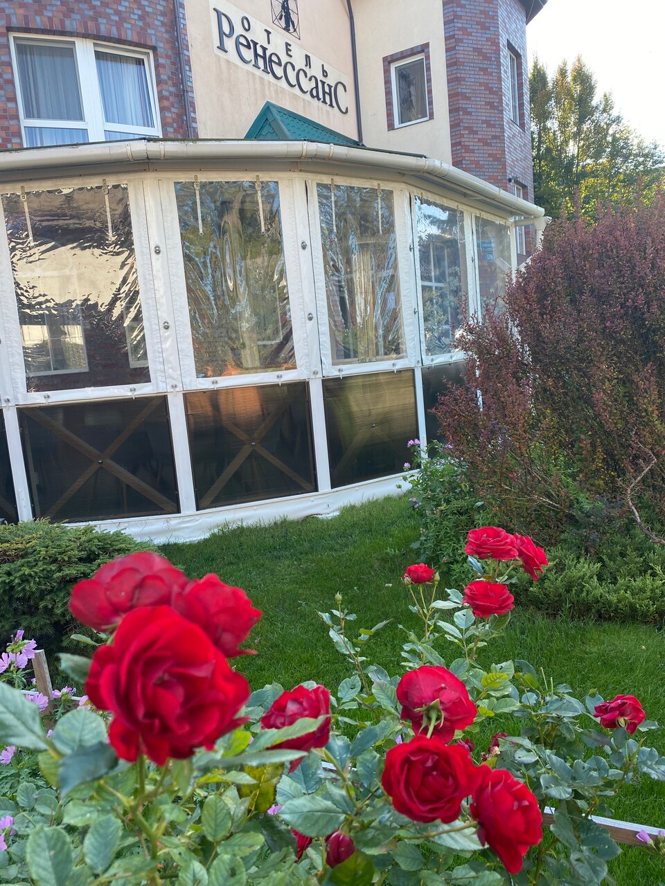 Гостиница Ренессанс Зеленоградск-45