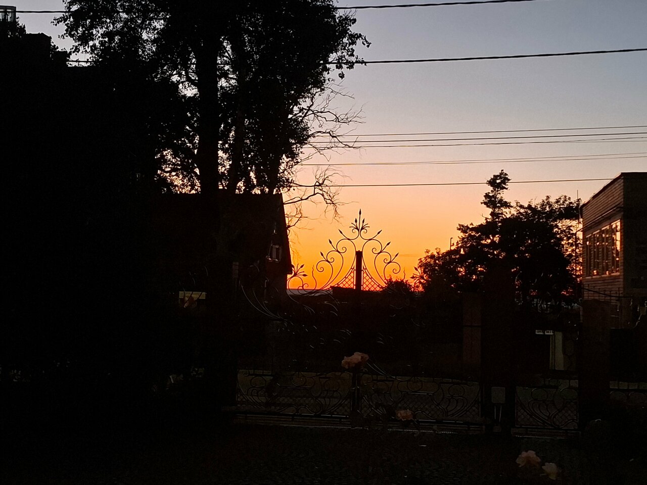 Гостиница Ренессанс Зеленоградск-156