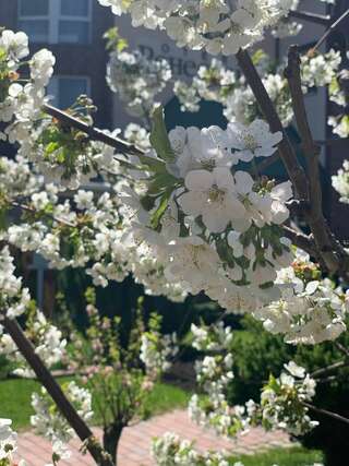 Гостиница Ренессанс Зеленоградск-7