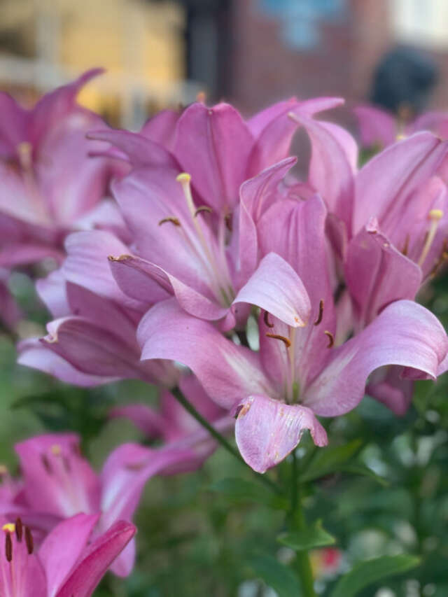 Гостиница Ренессанс Зеленоградск-80