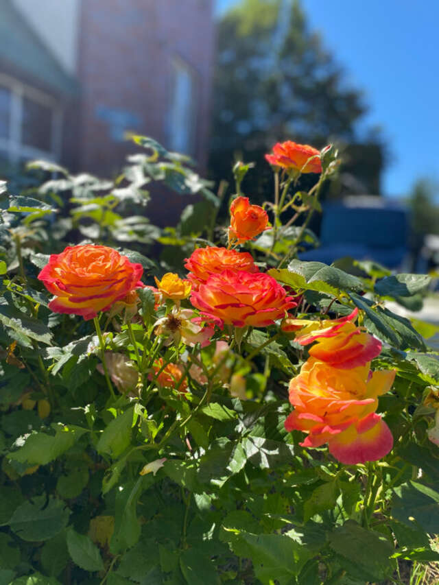 Гостиница Ренессанс Зеленоградск-67